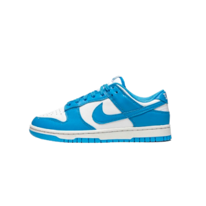 Nike Dunk Low Coast